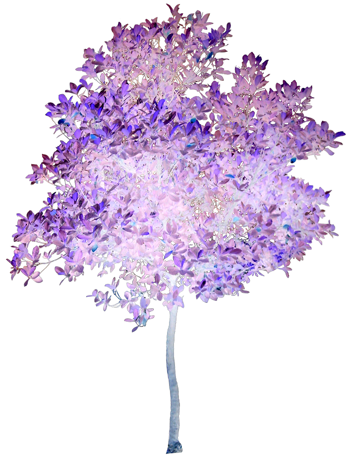 Aplus Image - Filter
